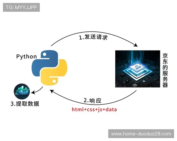 开云网页版登录失败导致的常见问题及应对策略
