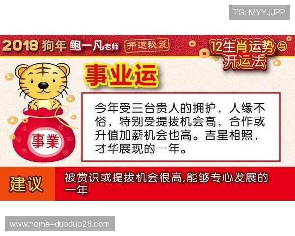 开运平台官网为用户提供的专业运势分析与个性化建议全解析