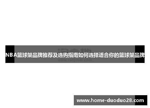 NBA篮球架品牌推荐及选购指南如何选择适合你的篮球架品牌