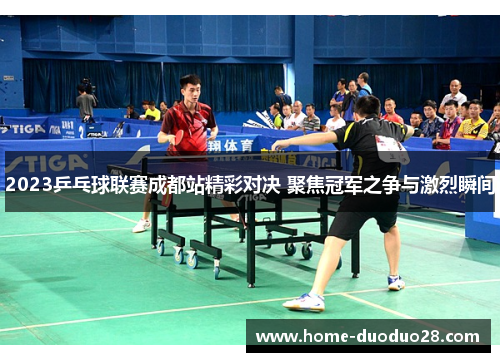 2023乒乓球联赛成都站精彩对决 聚焦冠军之争与激烈瞬间