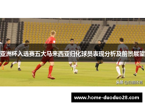 亚洲杯入选赛五大马来西亚归化球员表现分析及前景展望
