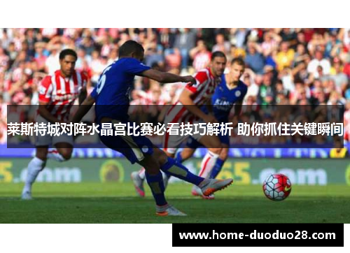 莱斯特城对阵水晶宫比赛必看技巧解析 助你抓住关键瞬间