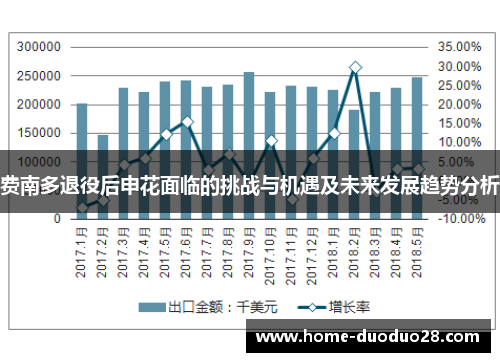 费南多退役后申花面临的挑战与机遇及未来发展趋势分析