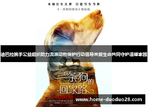 迪巴拉携手公益组织助力流浪动物保护行动倡导关爱生命共同守护温暖家园